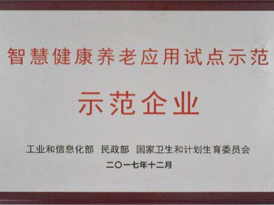 安徽智慧健康養(yǎng)老應(yīng)用試點(diǎn)示范申報條件